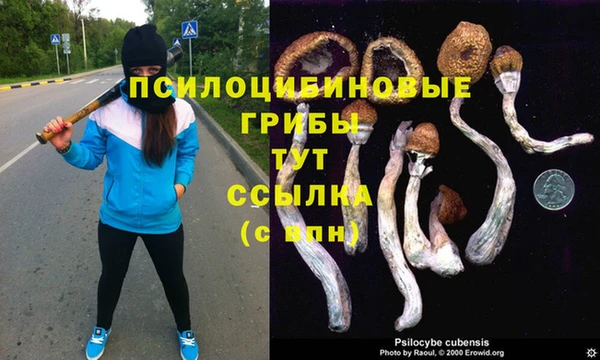 первитин Бугульма