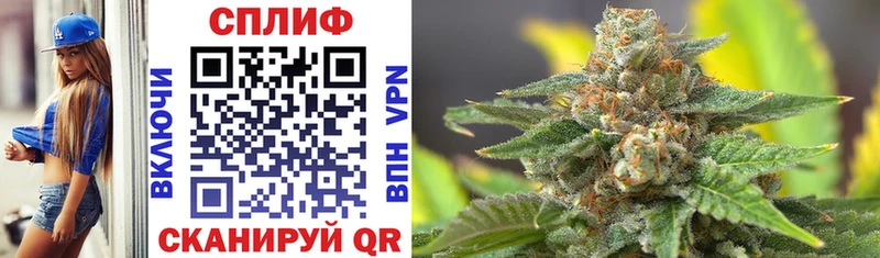 Шишки марихуана White Widow  дарнет шоп  Тосно 